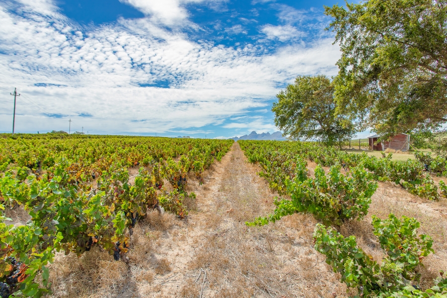 6 Bedroom Property for Sale in Lyndoch Western Cape